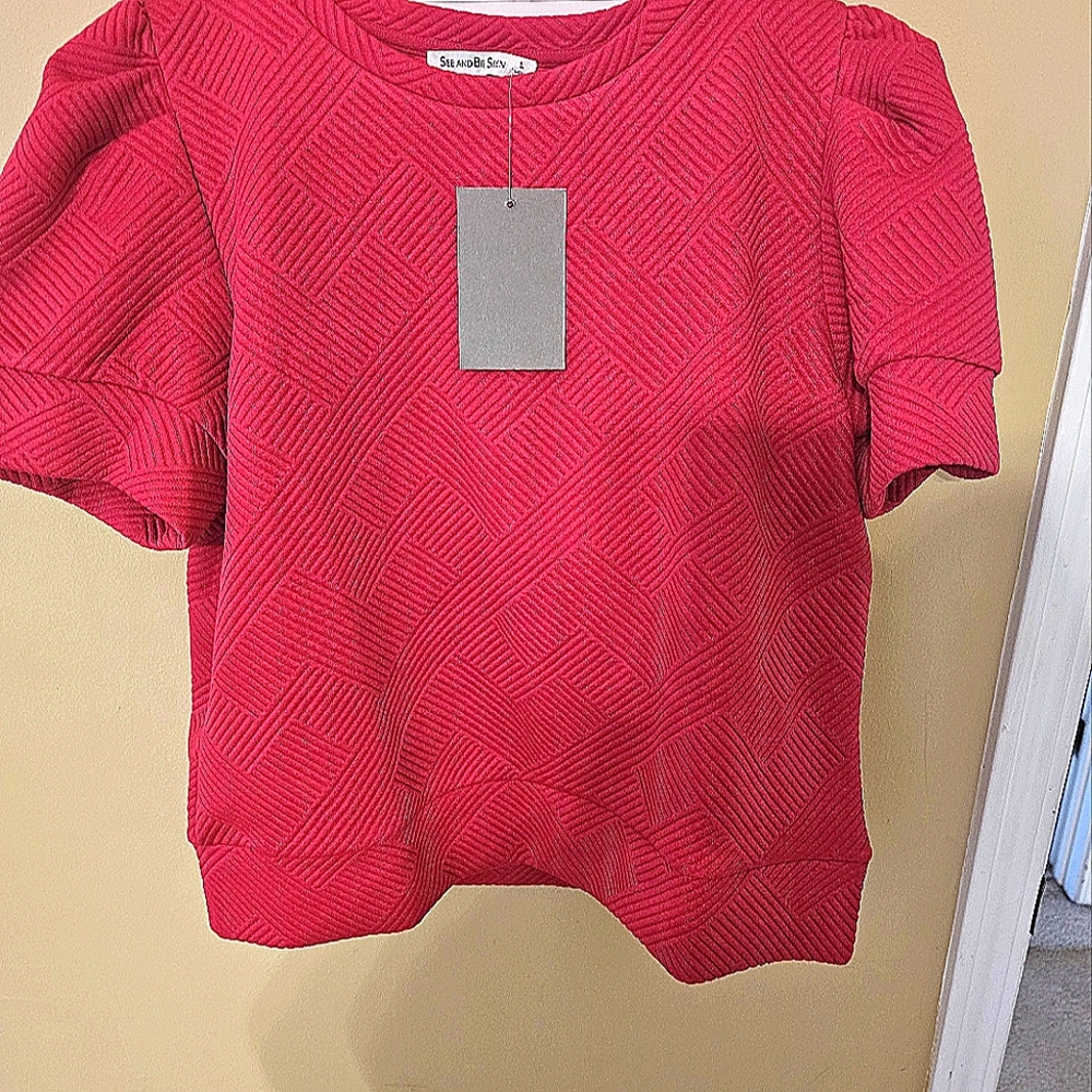 See and Be Seen Textured Top with Puff Sleeves - Barbie Pink